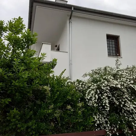 Dream House *